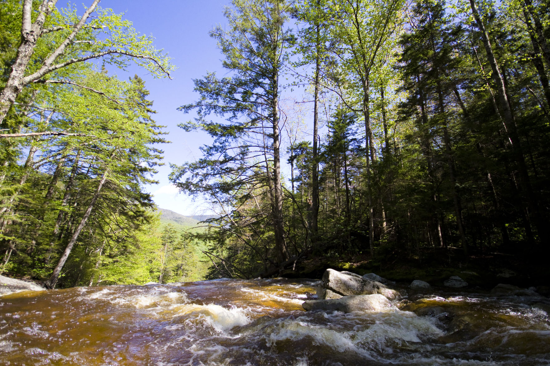 Basin02.jpg